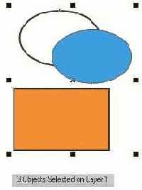          Shape
