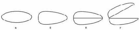   ()      () 