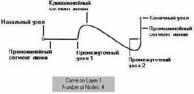 Сегменты и узлы линии